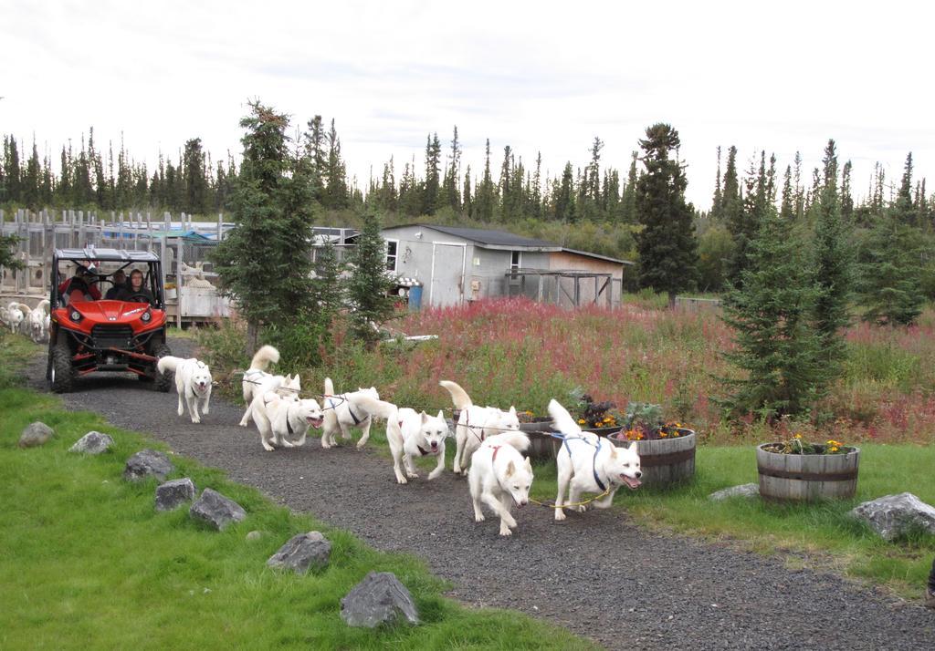 Arctic Chalet Resort Inuvik Eksteriør bilde